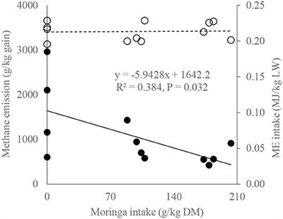 Metabolic Benefit of Bulls Being Fed Moringa Leaves Twigs and Branches as a Major Concentrate Ingredient